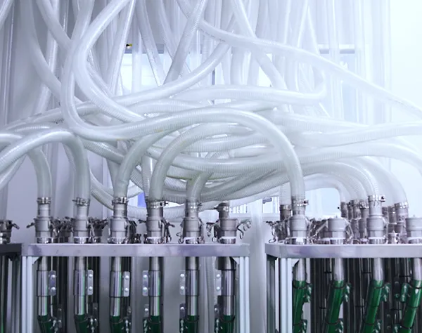 Intelligent Digital Transformation